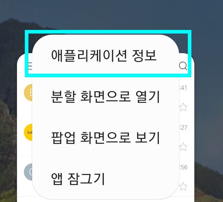 애플리케이션 정보 카테고리가 표시된 화면